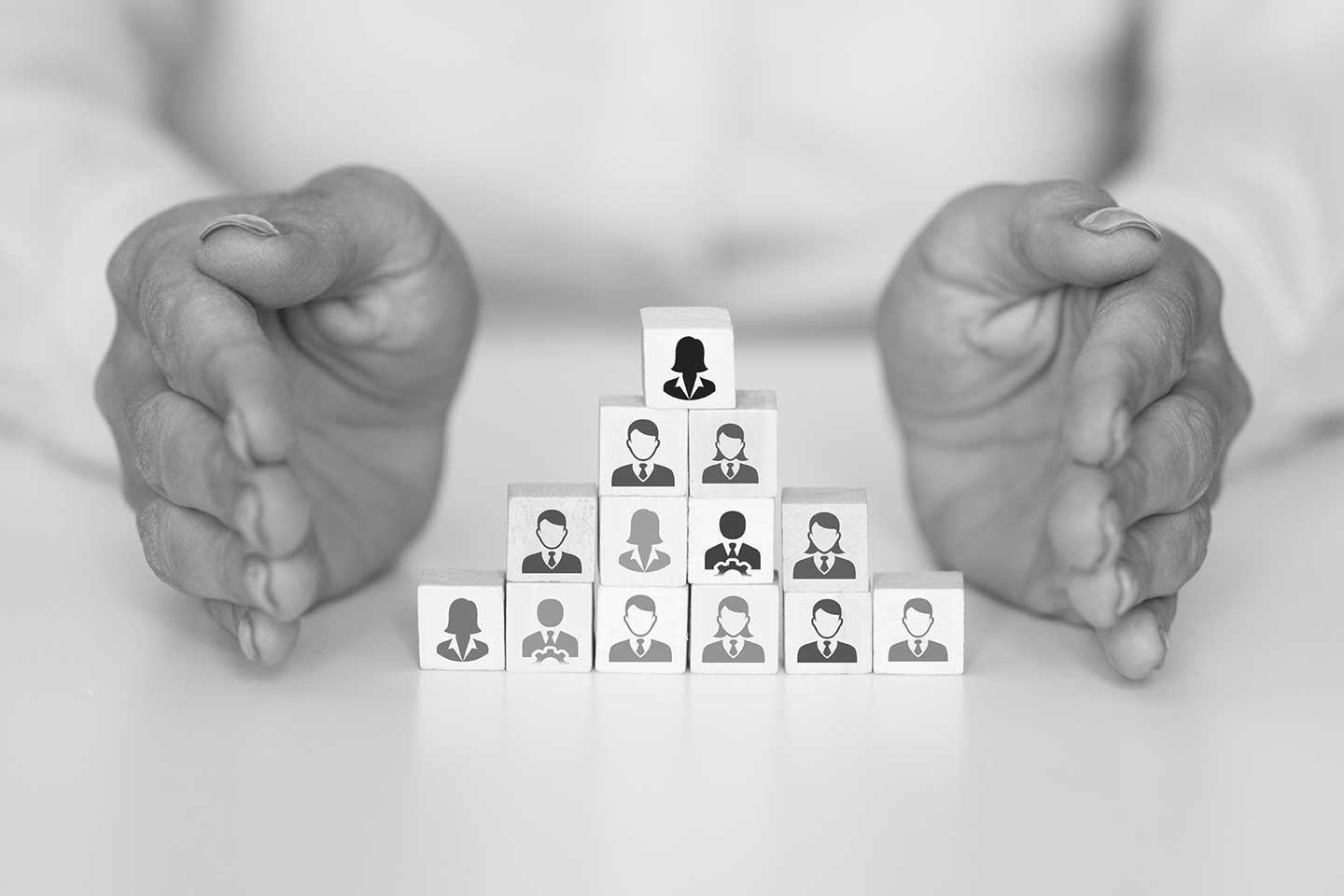 organizar-empresa